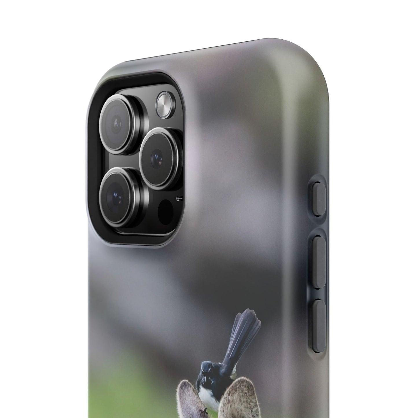 Willie Wagtail + Western Grey Kangaroo - Magnetic Impact-Resistant Case - Fono Caso x EstebantheNatureman - Gift for Bird Lovers
