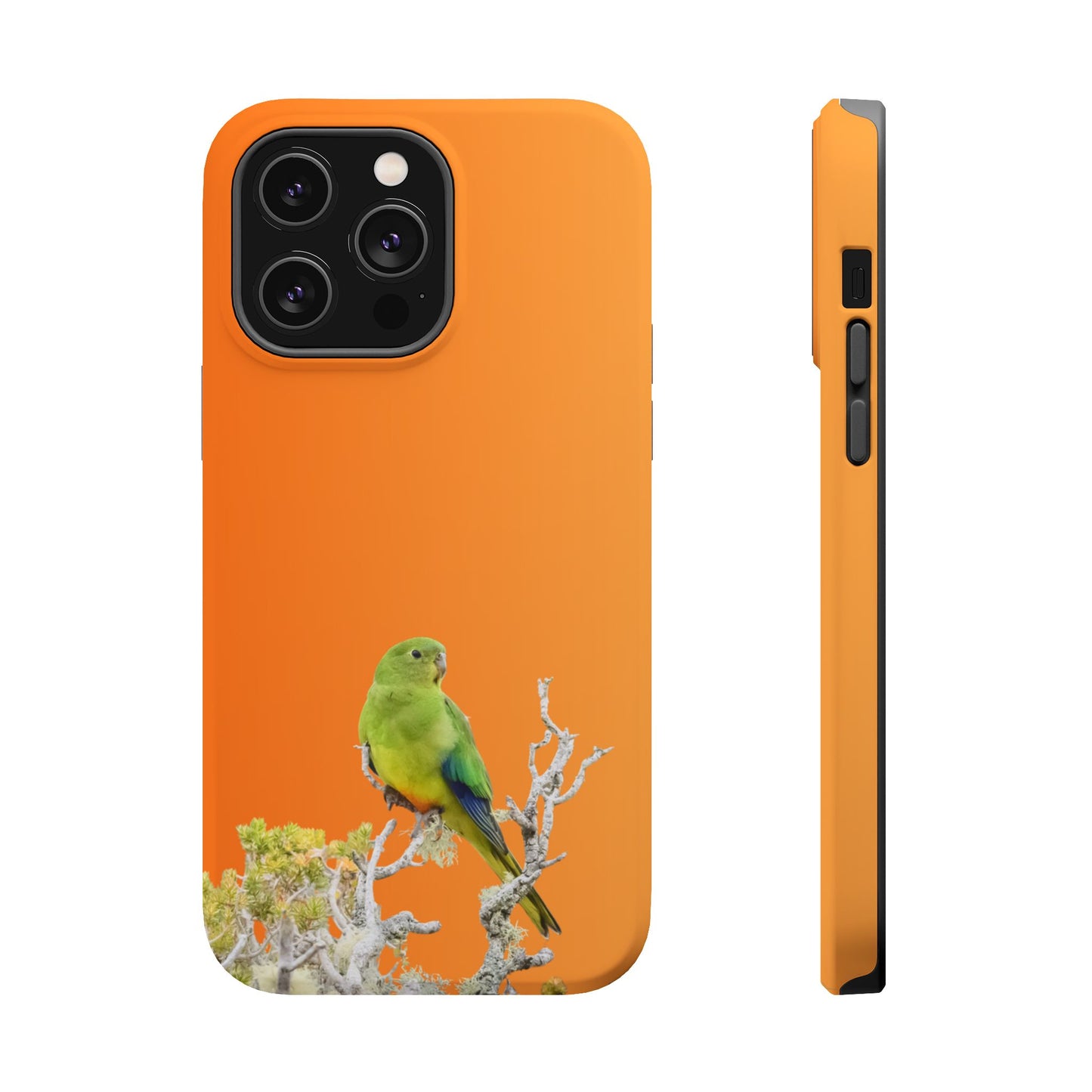 Orange-bellied Parrot - Magnetic Impact-Resistant Phone Case - Fono Caso x EstebantheNatureman - Wildlife Case - Gift for Bird Lovers