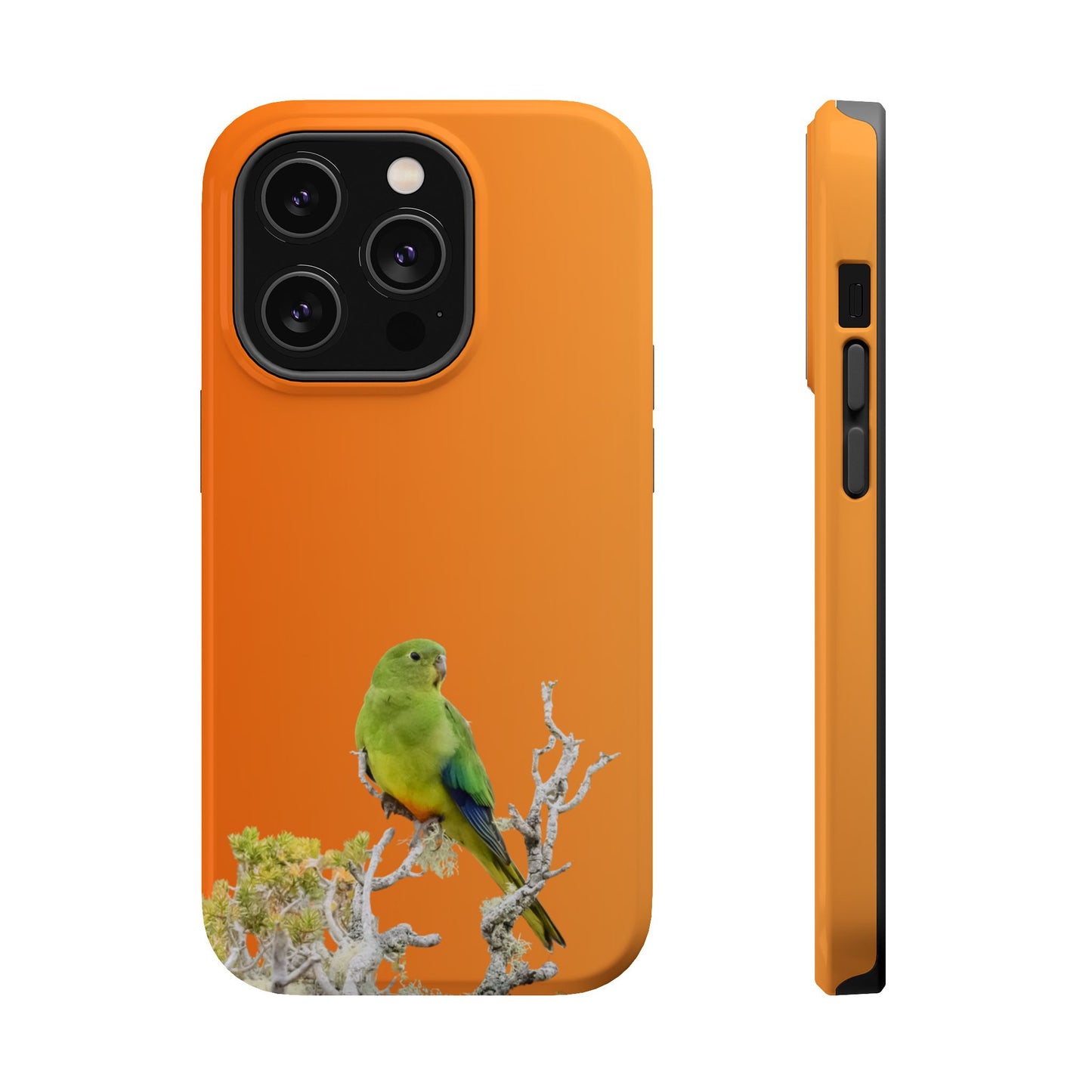 Orange-bellied Parrot - Magnetic Impact-Resistant Phone Case - Fono Caso x EstebantheNatureman - Wildlife Case - Gift for Bird Lovers