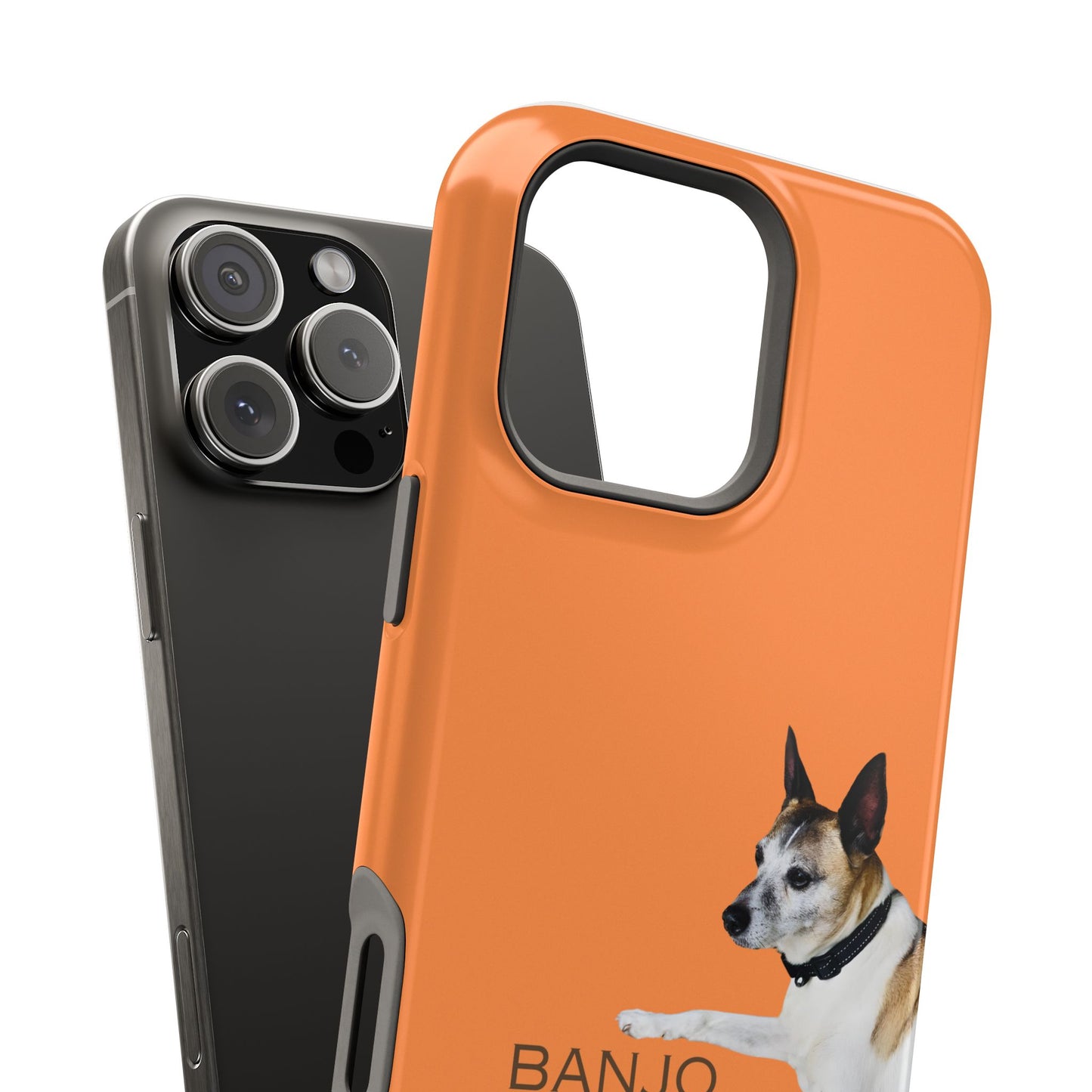 Customizable Magnetic Impact-Resistant Phone Case Your Pet Photo or Digital Painting with Name_5_iPhone 13 and up