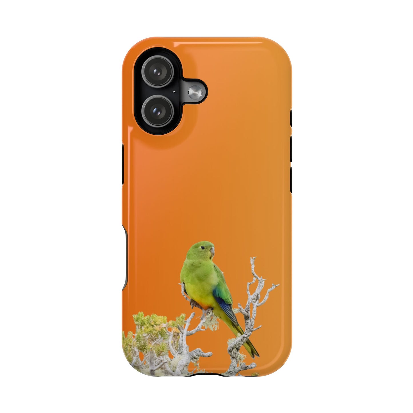 Orange-bellied Parrot - Magnetic Impact-Resistant Phone Case - Fono Caso x EstebantheNatureman - Wildlife Case - Gift for Bird Lovers