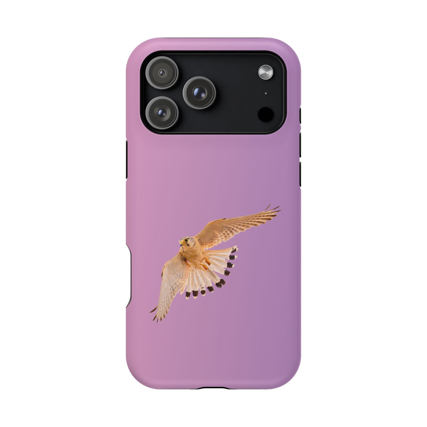 Nankeen Kestral - Magnetic Impact-Resistant Case - Fono Caso x EstebantheNatureman - Wildlife Case - Gift for Bird Lovers