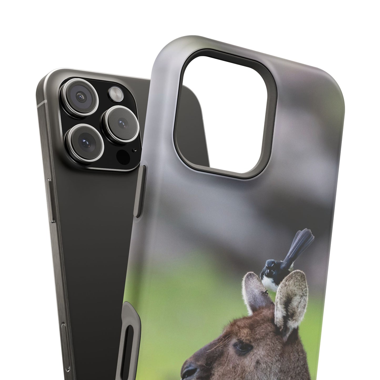 Willie Wagtail + Western Grey Kangaroo - Magnetic Impact-Resistant Case - Fono Caso x EstebantheNatureman - Gift for Bird Lovers