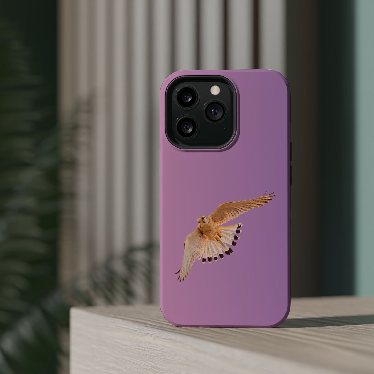 Nankeen Kestral - Magnetic Impact-Resistant Case - Fono Caso x EstebantheNatureman - Wildlife Case - Gift for Bird Lovers
