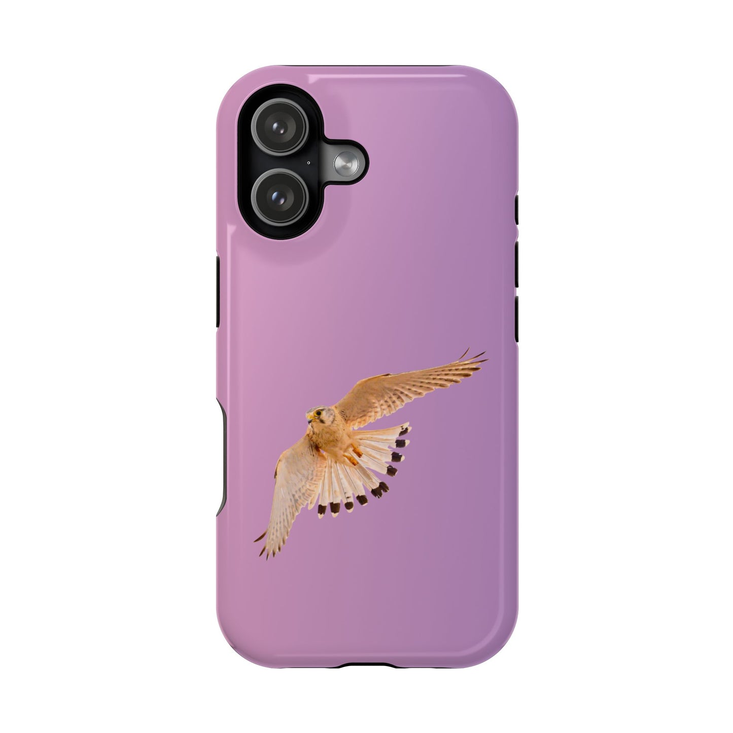 Nankeen Kestral - Magnetic Impact-Resistant Case - Fono Caso x EstebantheNatureman - Wildlife Case - Gift for Bird Lovers