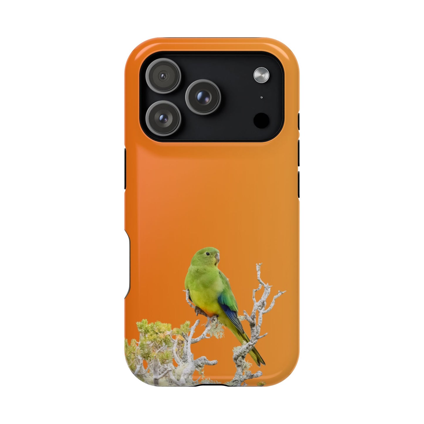 Orange-bellied Parrot - Magnetic Impact-Resistant Phone Case - Fono Caso x EstebantheNatureman - Wildlife Case - Gift for Bird Lovers